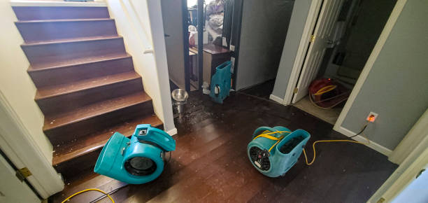 Best Water damage contractors near me  in San Pablo, CA