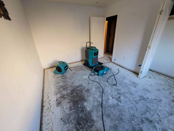 Best Flood damage cleanup  in San Pablo, CA