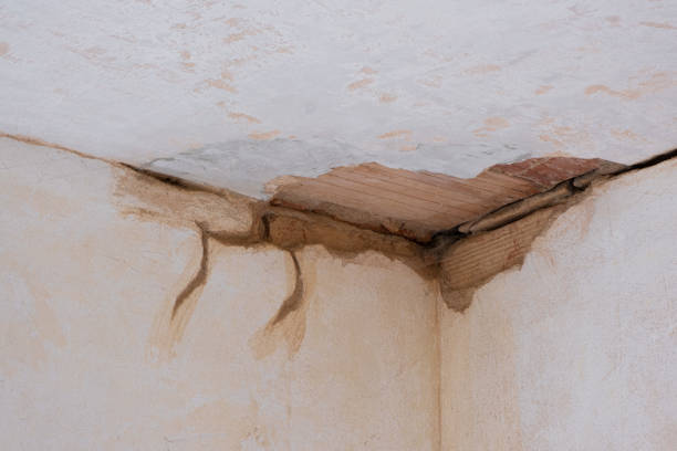 Best Carpet water damage restoration  in San Pablo, CA