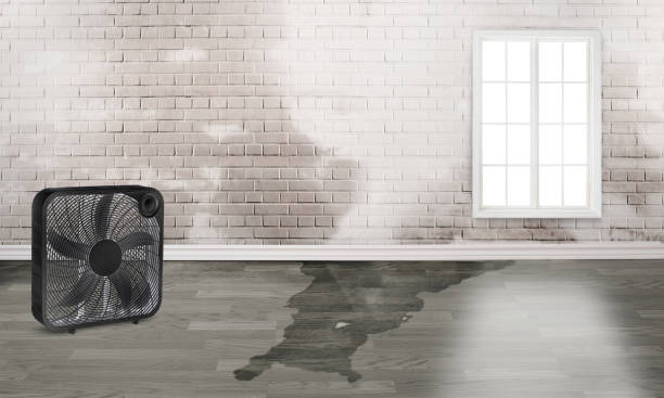 Best Flood restoration services  in San Pablo, CA