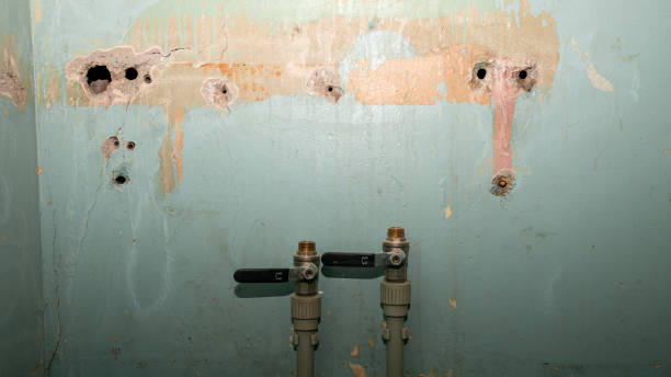 Best Local water damage restoration  in San Pablo, CA