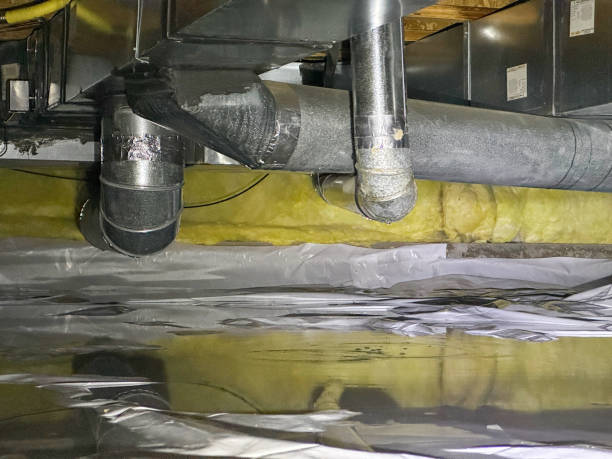 Best Professional water damage repair  in San Pablo, CA