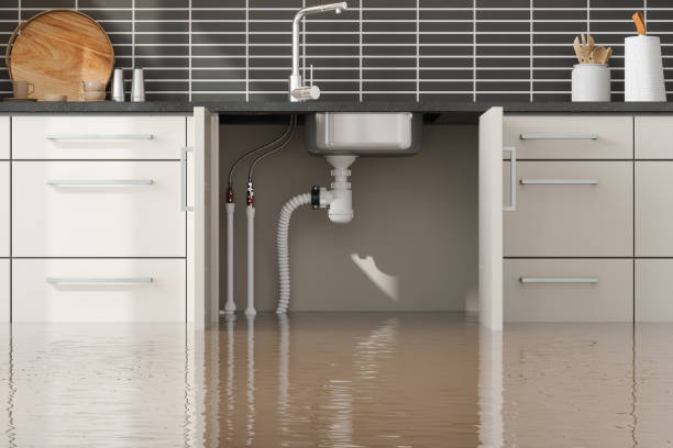 Best Flooded house restoration  in San Pablo, CA