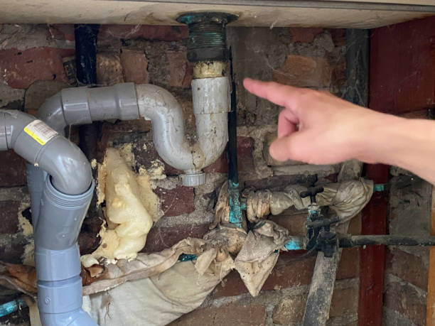 Best Water damage restoration near me  in San Pablo, CA