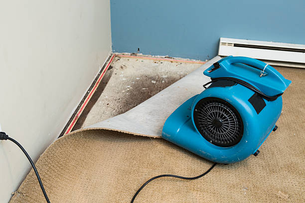 Best Mold removal after water damage  in San Pablo, CA